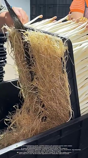 How crispy are sprouted peanuts #tools #construction #handtools #tool #toolsofthetrade #diy #powertools #woodworking #engineering #electrician #contractor #mechanic #carpentry #design #toolporn #toolbox #carpenter #perkakas #plumbing #handmade #workshop #renovation #edc #work #wood #technology #building #electrical #home #dewalt | mianxiwei