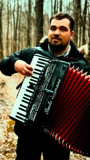 La Paloma - Accordion Magic 🔥
