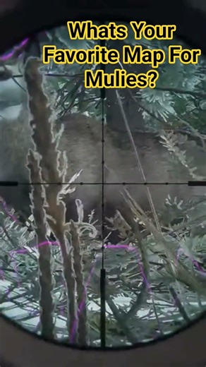 Mule Deer Buck Down in Askiy Ridge! | The Hunter: Call of the Wild Gameplay #jjdstreams #cotw