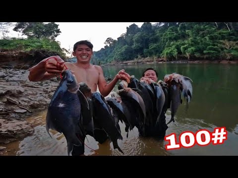 Bí Mật Về Thượng Nguồn Sông Đồng Nai ! HÀNG Ngàn Con Cá Chỉ Chen Chút Nhau Ở 1 Vũng Nước Nhỏ .....