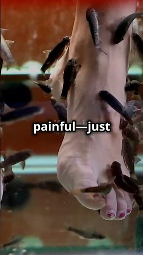 How Fish Pedicure Works! 🐟✨