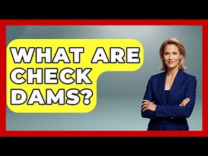 What Are Check Dams? - Civil Engineering Explained