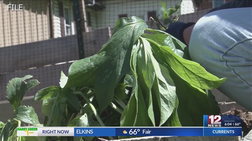 West Virginia dairy farmer feels effects of USDA cuts