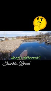 Which way did they go... 😒 | Skunkle Brad