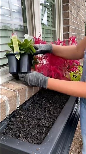 The Best Window Boxes