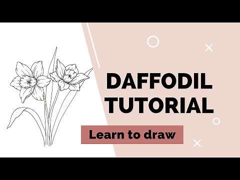 Learn to draw flowers: DAFFODIL step by step tutorial