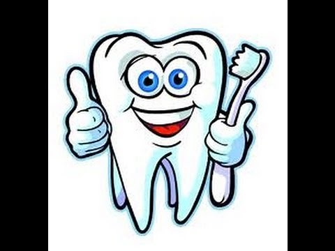 Human Teeth Types -Video for Kids