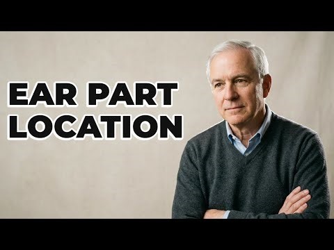 Where Is The Conductive Component Located In The Ear?