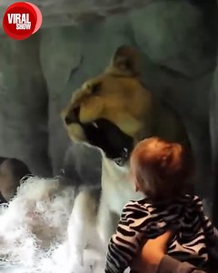 Hilarious Zoo Fails | Nature and Animals