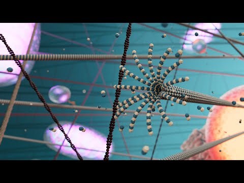 How microtubules take part in cellular signal processing