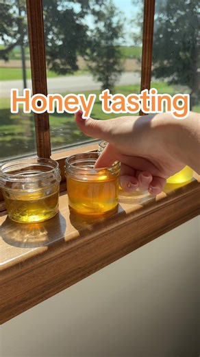 Honey Tasting Delights: Celebrate Harvest Season!