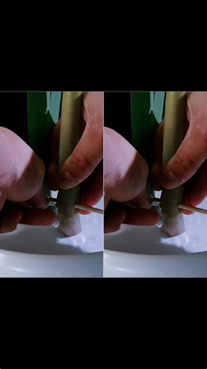 Every stem glows with warm light#flowerarrangement #floraldesign #FlowerTok