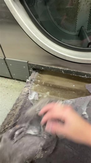 Dryer Maintenance Tips for a Better Laundry Experience