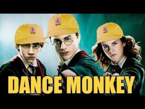 Dance Monkey is Hot in Hogwarts right now