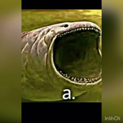 Bloop meme #bloop #meme