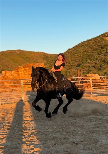 Come take a ride with Phoenix dm us we’re ready for photo shoots 📸videos 🎥 #paratiiiiiiiiiiiiiiiiiiiiiiiiiiiiiii #foryourpage #horsesoftiktok #horse #ranchtok