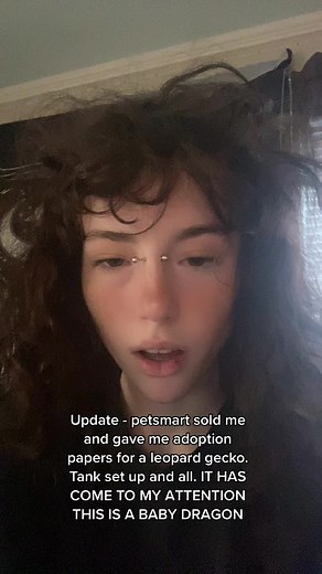 @petsmart this is not a gecko #reptile #reptiletiktok #gecko #geckosoftiktok #DanceWithTurboTax #foryou #fyp