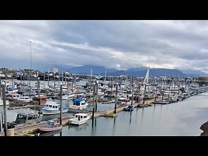 LIVE🛟 HOMER HARBOR ALASKA