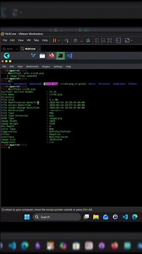 Remove Image Metadata and Add Hidden Comment Using ExifTool Fast Demo #ExifTool #Metadata #Linux