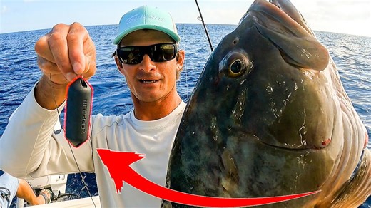 Sharkbanz Review – Can This Device Save Your Catch?