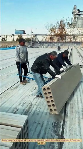 Satisfying Factory Work: How Lightweight Wall Panels Are Moved & Stacked! 🌾🦀↓