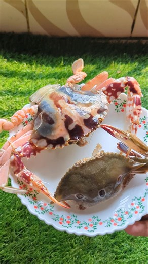 Fresh Crab Cleaning & Prep | Part 1 🔪🦀 #crab #seafood #shorts