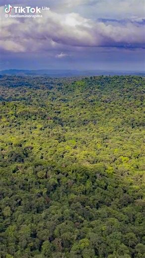 Videos de Jose Alonso (@josealonso552) con “sonido original - Oraciones77”