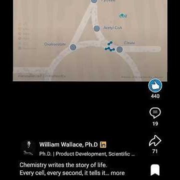 The TCA Cycle with Animation @Metabolism Made Easy