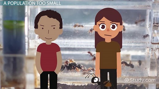 Limiting Factors of Population in Ecology