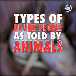 7.9M views · 99K reactions | We all have a friend who is one of these drunk people  | The Pet Collective | Facebook