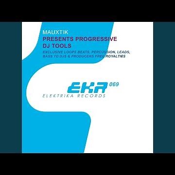 Mauxtik Progres Drum (Tool 2)