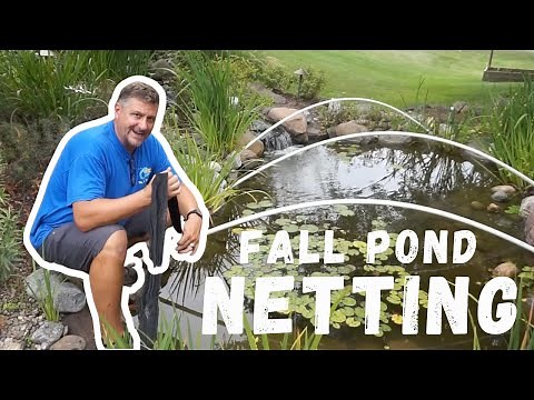 How to install a POND NET for Fall Leaves 🍂