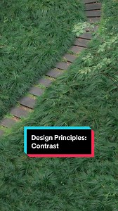 Unlock Visual Interest with Contrast in Design