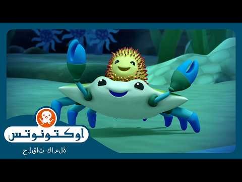 أوكتونوتس | 🦀 السلطعون وقنفذ البحر 🪸 | السلسلة 1 | الحلقة 18
