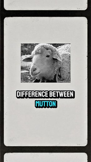 Is Mutton Actually Goat? The Menu Myth Explained!
