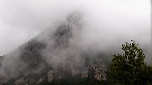 Mountain, Fog, Trees. Free Stock Video