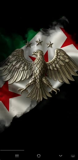 Discovering the New Visual Identity of Syria
