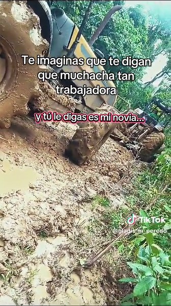 Cuentas recomendadas