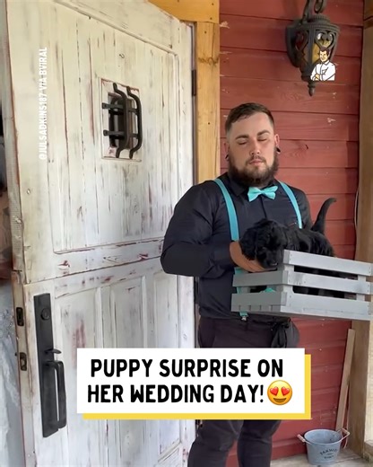 The best surprise on her wedding day! ☺️ | Dad Jokes