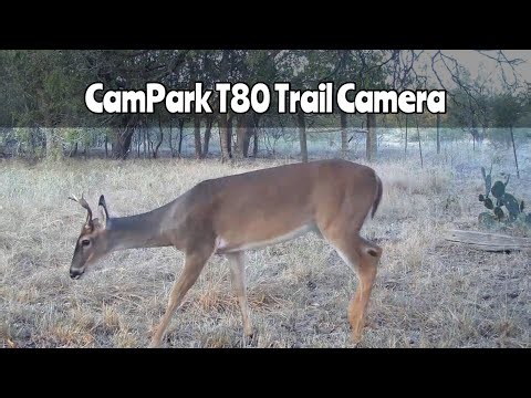 CamPark T80 Trail Camera Oct. 1-14, 2025