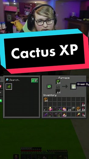 Turning Cactus to XP 🌵