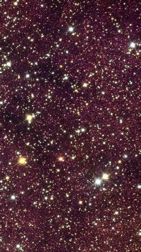 Quick look at Euclid Q2