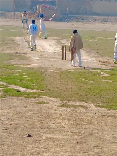 202 Brand Expansion: Embracing the Path to Success