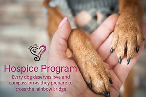Hospice - Hearts of Hope Dog Rescue