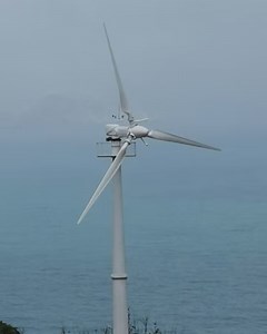 [Hot Item] Residential Wind Turbine Generator Windmill