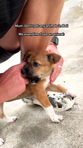 Experience Bali: Best Hostel for Solo Travelers