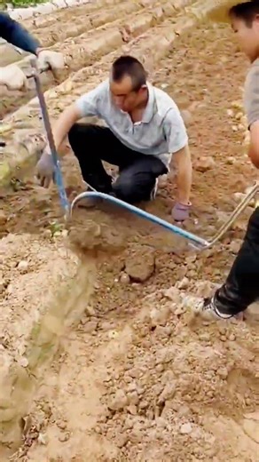 cool farming tools for harvesting potatoes #shorts