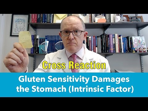 How Gluten Sensitivity Causes Low Vitamin B12 & Intrinsic Factor Antibodies