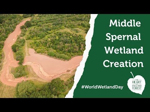 Middle Spernal Wetland Creation | Heart of England Forest