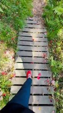 Plitvice Lakes Croatia: walking paths over crystal emerald waters 4K